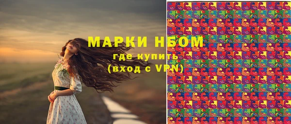 ПСИЛОЦИБИНОВЫЕ ГРИБЫ Баксан