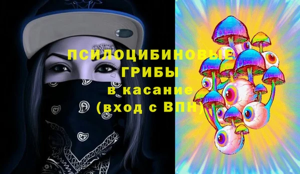 ПСИЛОЦИБИНОВЫЕ ГРИБЫ Баксан