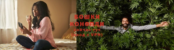 ПСИЛОЦИБИНОВЫЕ ГРИБЫ Баксан
