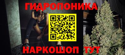 ешки Брянск