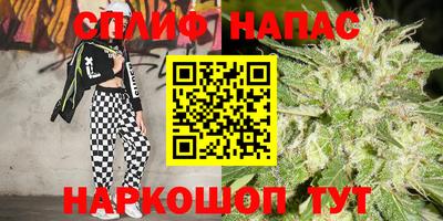 ешки Брянск