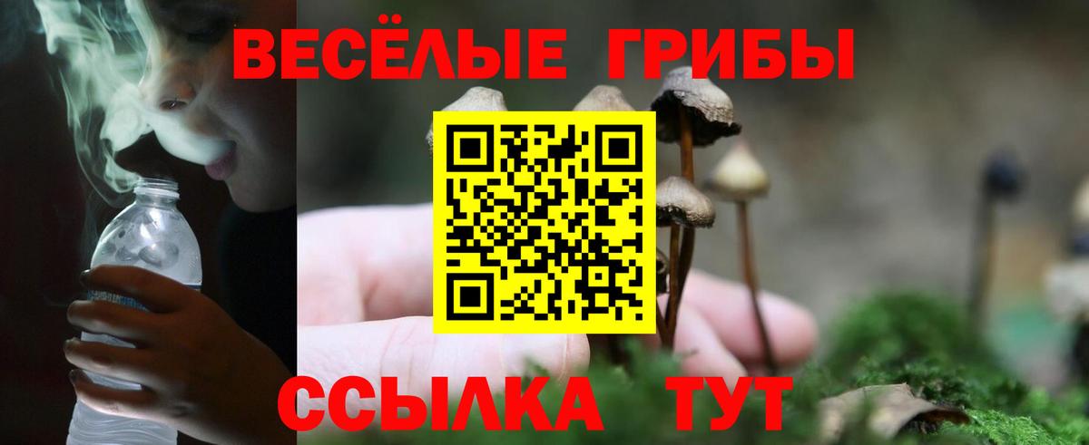 Галлюциногенные грибы Psilocybe  Вход с VPN  Псилоцибиновые грибы мухоморы  Белогорск 